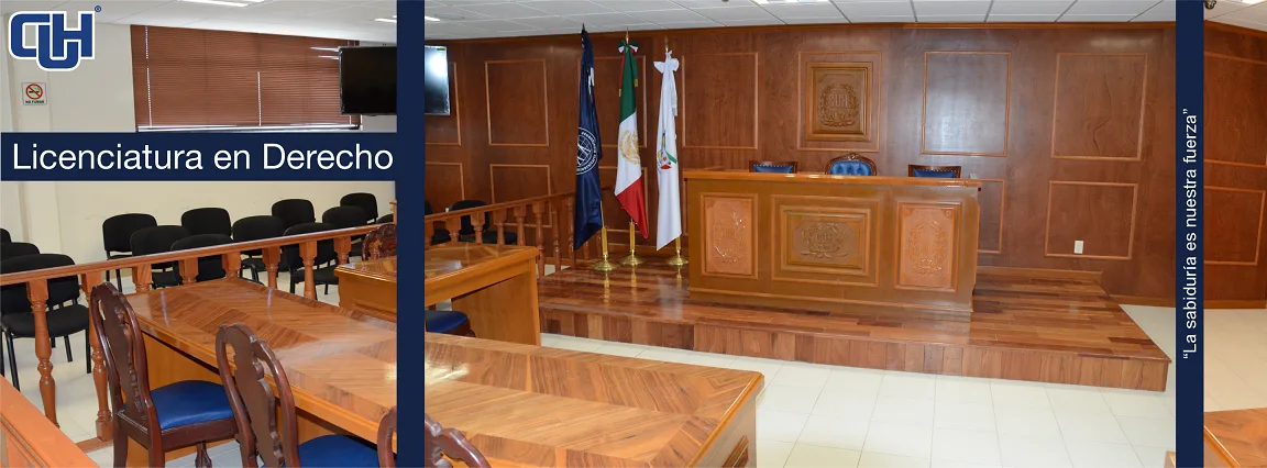 Licenciatura en Derecho